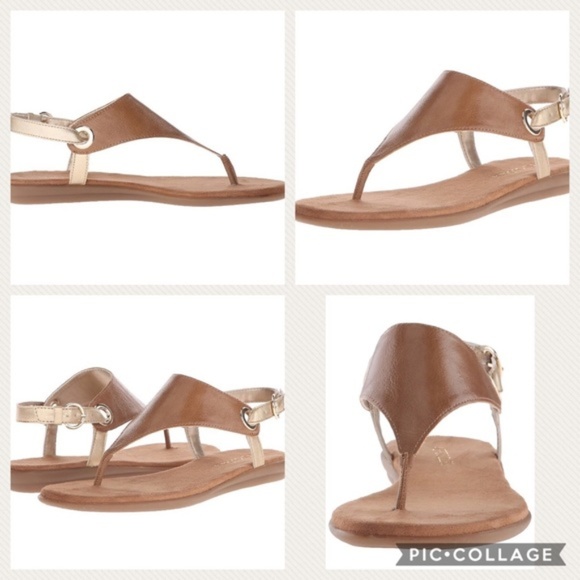 aerosoles conchlusion tan gladiator sandals